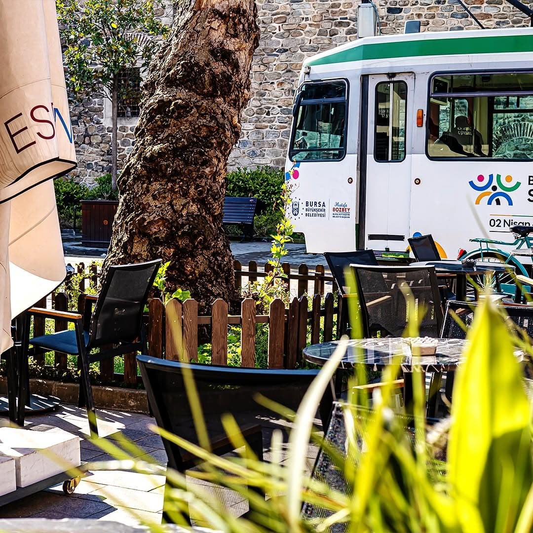 Coffee Drinks Display